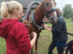 Zasas Zirgi projekta publicitātes foto
