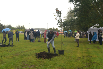 priekšsēdētājs stāda koku
