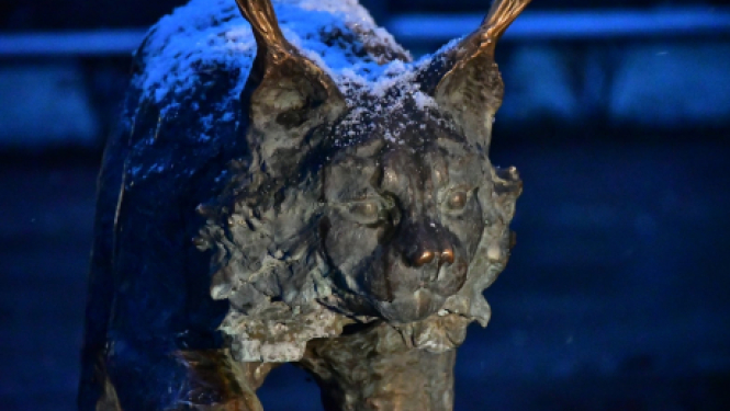 Pašvaldības nedēļas plāns 30.11.- 06.12.