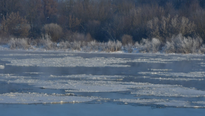 Uz laiku par SIA “Jēkabpils pakalpojumi” valdes locekli ievēlēta Anita Moskovska