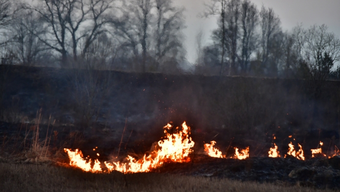 Kūlas dedzināšana
