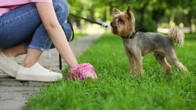 Savāc aiz sava suņa