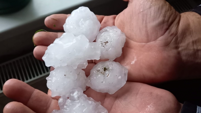 Krusa Rites pagastā