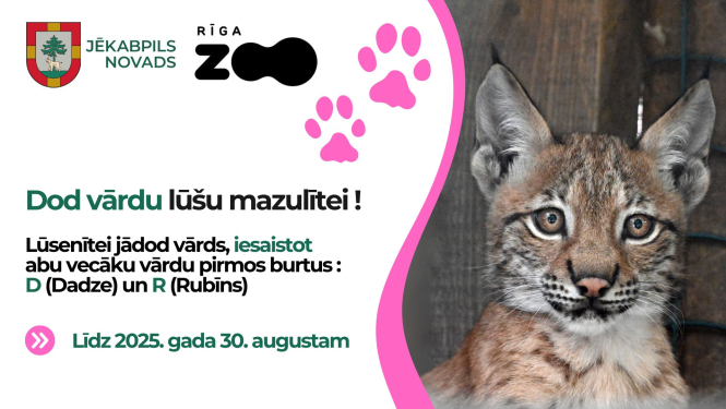 Vārdu došana lūsiem 2025