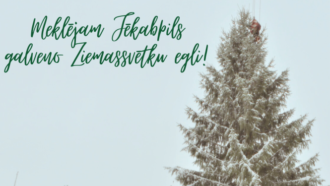 aicina atsaukties iedzīvotājus, kuri vēlētos dāvināt Jēkabpilij galveno Ziemassvētku egli