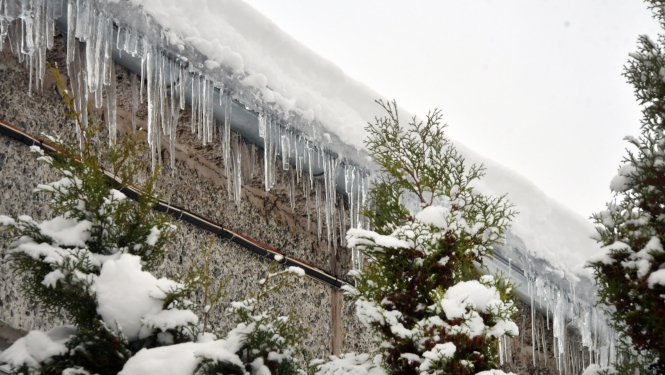Garas lāstekas izviedojušās jumta malā