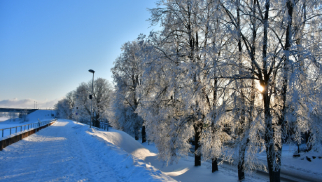 Par kuponu iegādi pārtikas preču iegādei skolēniem