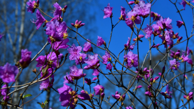 Pašvaldības nedēļas plāns 19.04.-25.04.