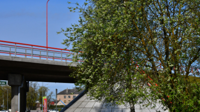 Apstiprina Medību koordinācijas komisiju