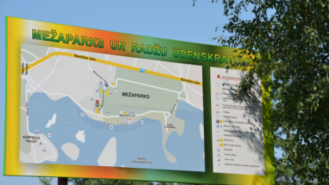 10.oktobrī uz sportiskām aktivitātēm aicina biedrība "Dzīvības koks"