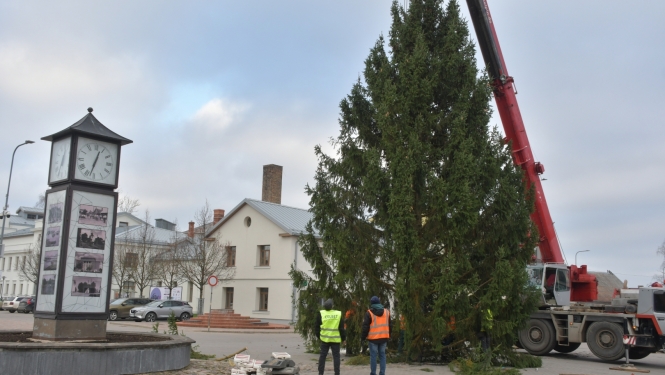 Ziemassvētku egle Vecpilsētas laukumā