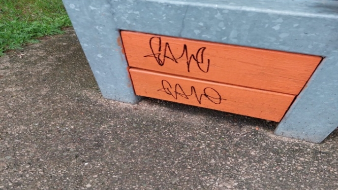 Apķēpāta soliņa foto