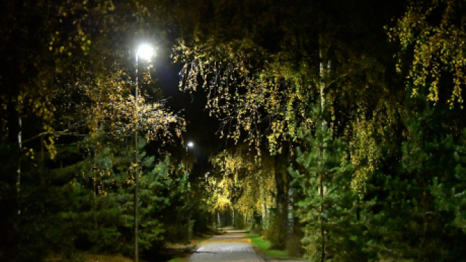 Izbūvēts apgaismojums Mežaparka veloceliņā