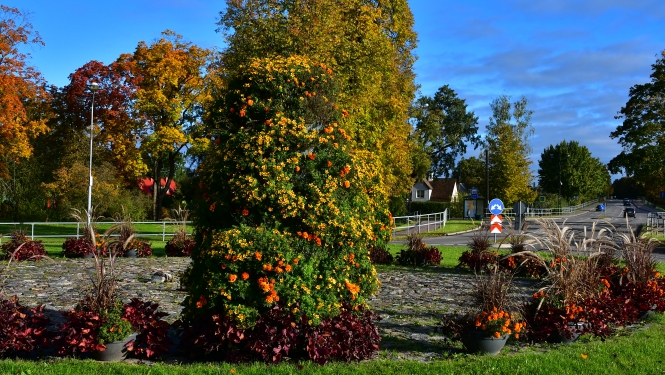 Satiksmes rotācijas aplis Vienības ielā, Jēkabpilī
