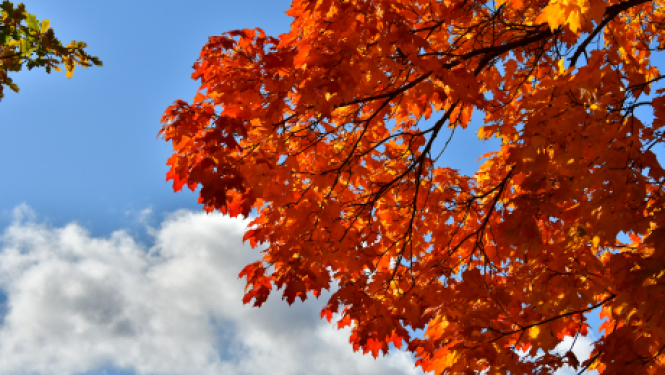 Pašvaldības nedēļas plāns 12.10.-18.10.