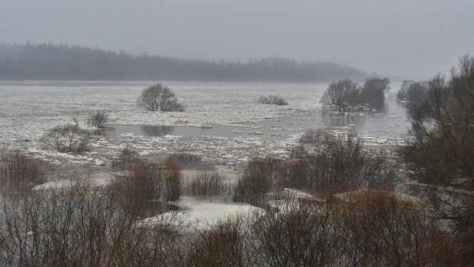 Upe Daugava palu laikā