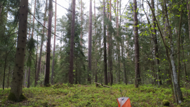 Aprīlī sāksies “Orientieris 2021” jaunā sezona