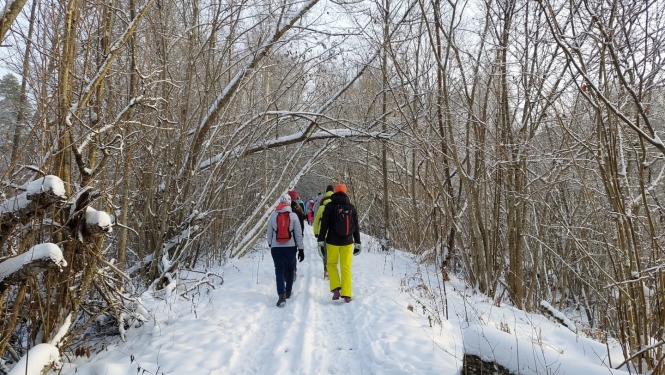 Personas dodas pārgājienā pa sniegotu meža celiņu