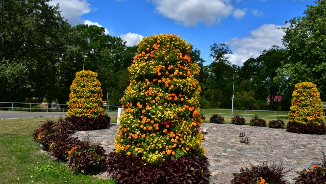 Jēkabpils pilsēta, satiksmes aplis Vienības ielā
