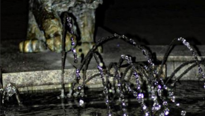 Lūsis Proti un Dari