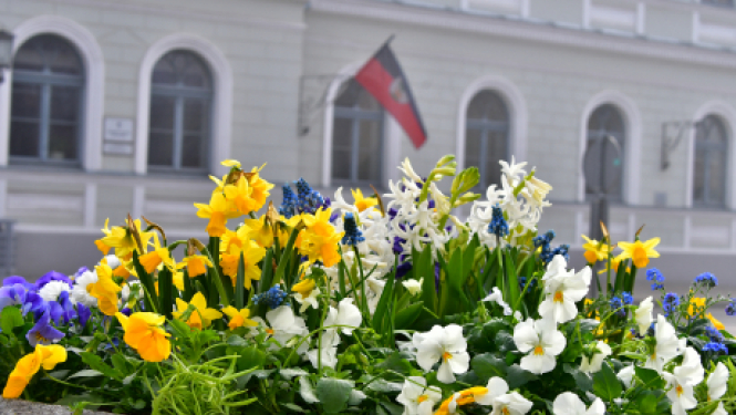 Par skolu mācību procesu klātienē dome atkārtoti lems pēc Lieldienām