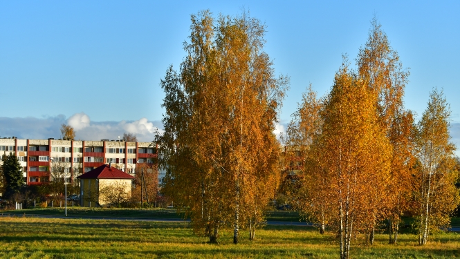 Māja