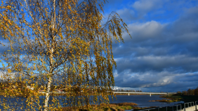 No 9. novembra Latvijā tiek izsludināta ārkārtējā situācija