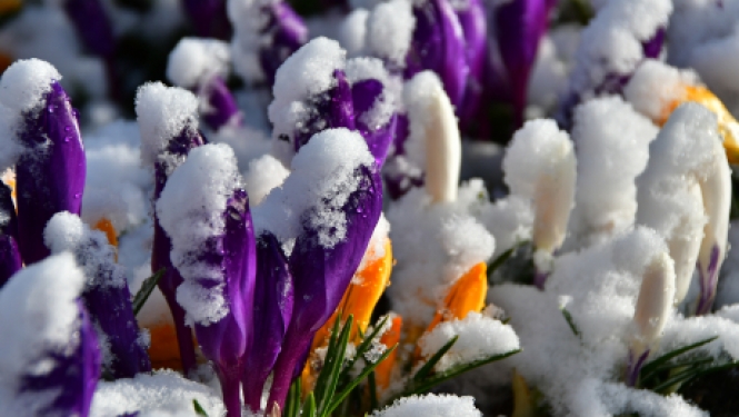 Jēkabpils 2.vidusskolas ēdināšanas uzņēmuma darbiniekam konstatē pozitīvu Covid-19 testu