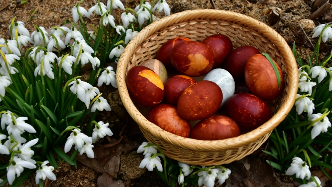 Lieldienu olas un sniegpulkstenīši