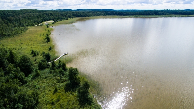 Velo ceļš pie Zebrus ezera Dobeles novads. Foto - Dobeles TIC arhīvs