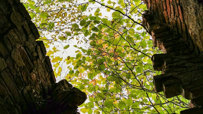 Ilustratīvs dabas foto