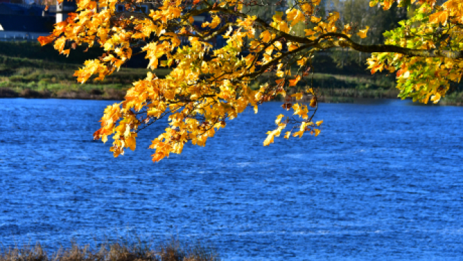Biedrībai „Jauniešu klubs “13.pirmdiena”” realizēts pilotprojekts "DZĪVES PRASMJU LABORATORIJA"