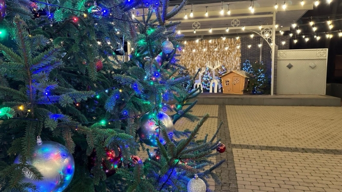 Kena parks, Ziemassvētku eglīte