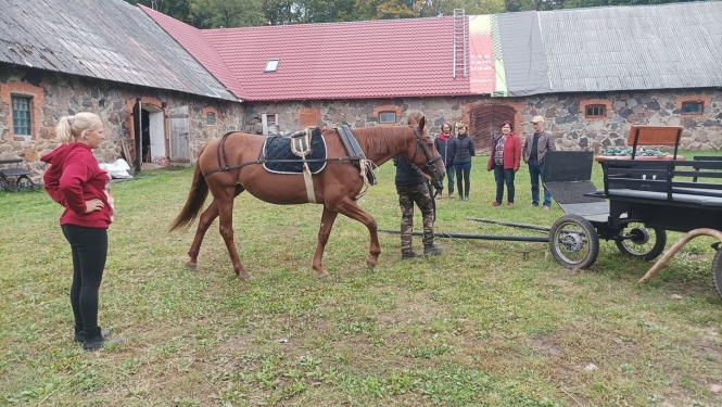 Zasas Zirgi projekta publicitātes foto