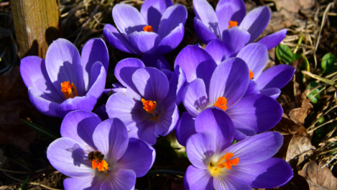 Pašvaldības nedēļas plāns 12.04.-18.04. 