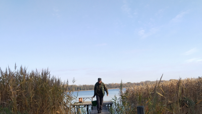 Zivju mazuļu ielaišana Vīku ezerā