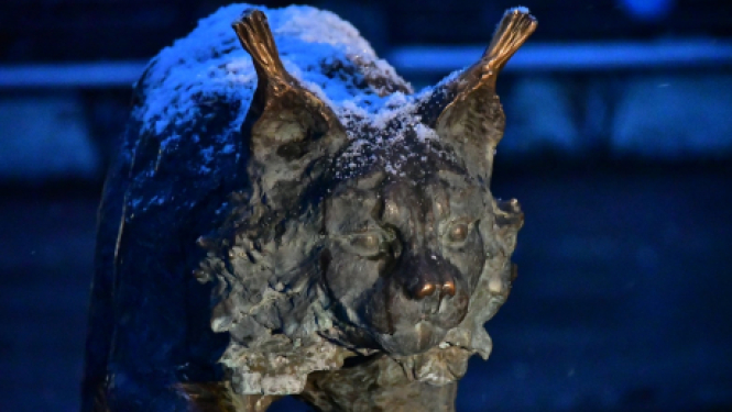 Pašvaldības nedēļas plāns 30.11.- 06.12.