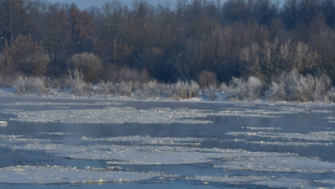 Uz laiku par SIA “Jēkabpils pakalpojumi” valdes locekli ievēlēta Anita Moskovska