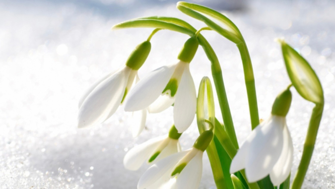 Bezmaksas lekcija par psihisko veselību 17_02_2022