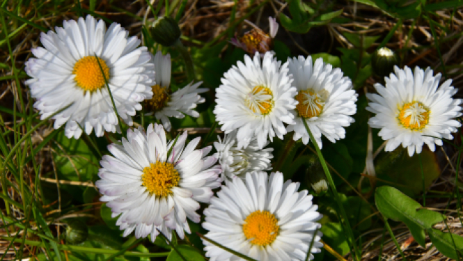 Dīkstāves pabalsti un citi nodokļu jomas atbalsta pasākumi pēc ārkārtējās situācijas beigām