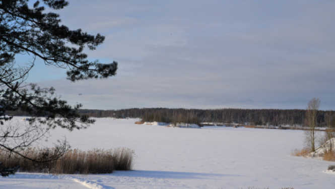 Atļauts atrasties uz Radžu ūdenskrātuves ledus
