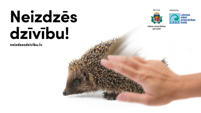 Akcijas baneris - roka izdzēš eža attēlu