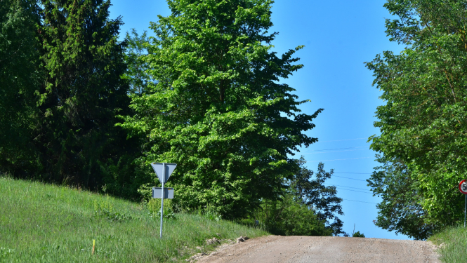 Ceļš Salas pagastā