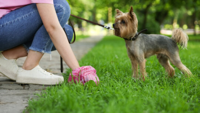 Savāc aiz sava suņa