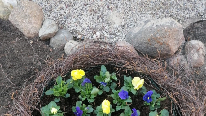 Ziedu kompozīcija Viesītes pilsētā