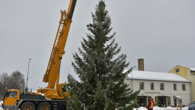 Egle Vecpilsētas laukumā