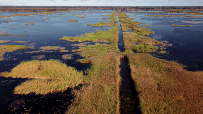 Publicitātes attēls