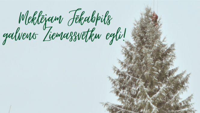 aicina atsaukties iedzīvotājus, kuri vēlētos dāvināt Jēkabpilij galveno Ziemassvētku egli