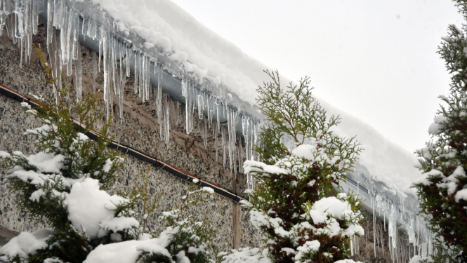 Garas lāstekas izviedojušās jumta malā
