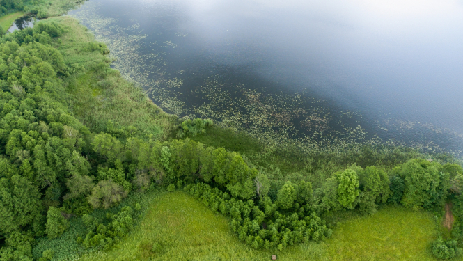 Zaļa ainava no drona skatu punkta